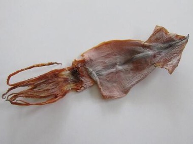 0fa04c794ce2f0edf73dc5e71b079098_t