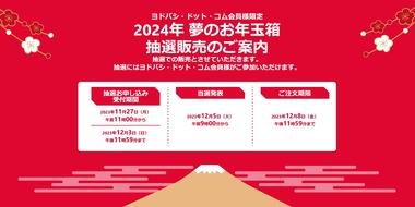 SnapCrab_NoName_2023-11-24_20-34-27_No-00