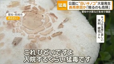 SnapCrab_NoName_2026-9-12_22-21-5_No-00