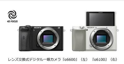 SnapCrab_NoName_2019-8-29_19-45-13_No-00