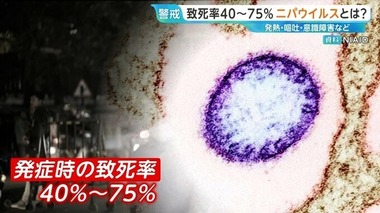 img_ae9be54046224d647a83901ec1c4