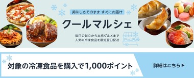 SnapCrab_NoName_2024-3-29_16-20-20_No-00