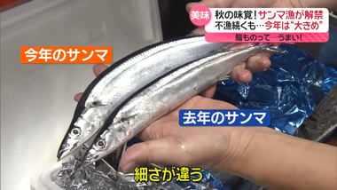 videoframe_94163