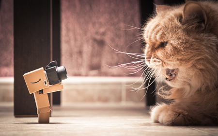 6359886439_b392b61ffa_b