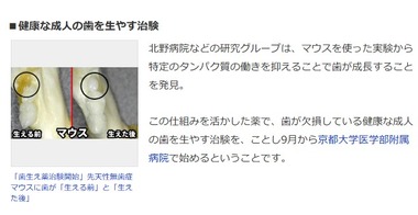 SnapCrab_NoName_2024-5-3_9-48-7_No-00