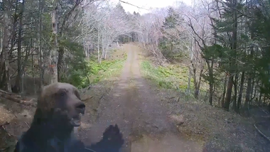 videoframe_11763
