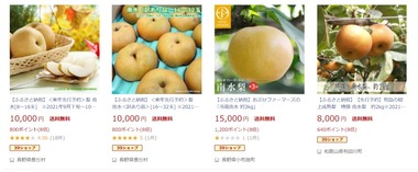 SnapCrab_NoName_2020-11-20_12-54-16_No-00