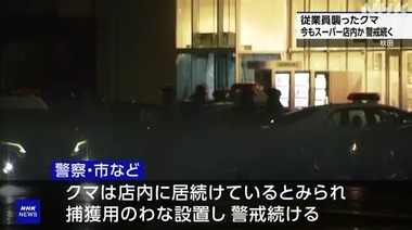 SnapCrab_NoName_2024-12-1_7-47-27_No-00