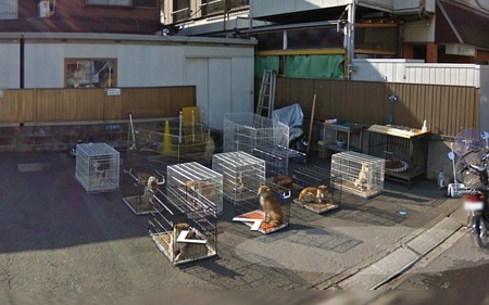 SnapCrab_NoName_2015-7-28_1-37-53_No-00