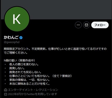SnapCrab_NoName_2024-6-23_10-22-41_No-00