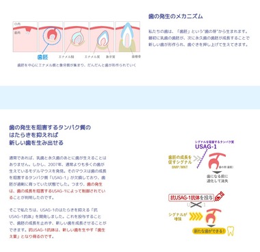SnapCrab_NoName_2026-5-19_21-26-30_No-00