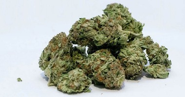 cannabis-imports-germany