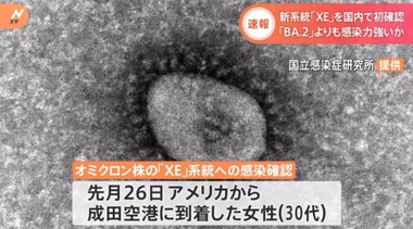 SnapCrab_NoName_2022-4-11_20-41-48_No-00