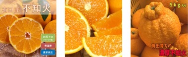 SnapCrab_NoName_2021-11-28_10-12-23_No-00
