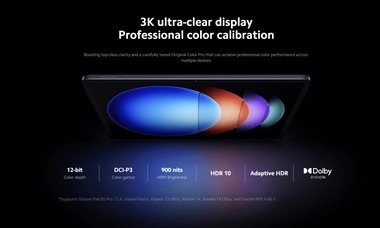 SnapCrab_NoName_2024-2-26_11-29-19_No-00