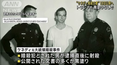 SnapCrab_NoName_2025-3-18_13-59-3_No-00