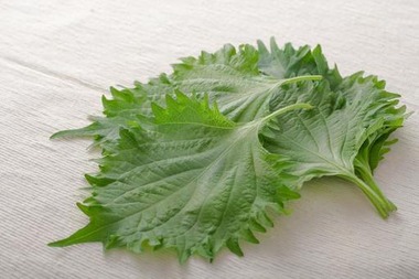 01929c78f08ea9c7e87b35505e8a88dc_t