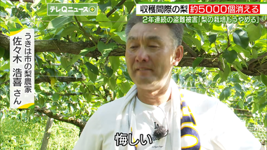 videoframe_3388