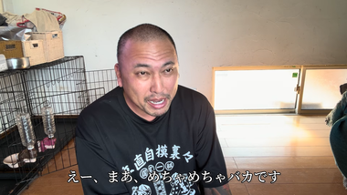 videoframe_56508