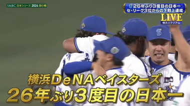 Screenshot 2024-11-03 at 21-15-09 TVer - 無料で動画見放題