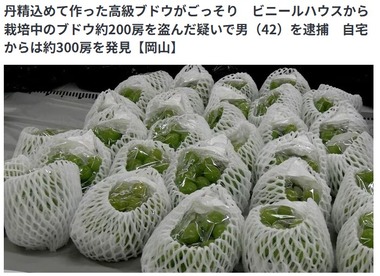 SnapCrab_NoName_2026-8-9_7-37-42_No-00