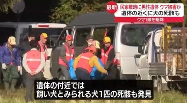 SnapCrab_NoName_2025-10-27_19-10-23_No-00