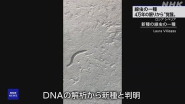 K10014144961_2307280934_0728100547_01_04