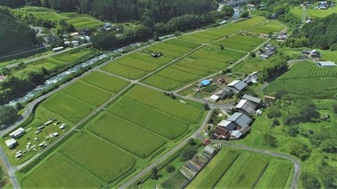 とんでもない田舎に家買って犬と暮らしてるが自然最高だわ