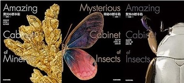 SnapCrab_NoName_2026-2-18_17-25-17_No-00