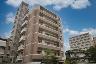 24505453_s