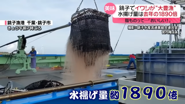 videoframe_3817