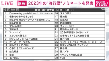 SnapCrab_NoName_2023-11-2_17-4-9_No-00