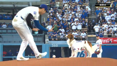 vlcsnap-2024-08-29-11h26m38s850