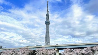 3b104a2c03bb254937bdb329688e28bf_t