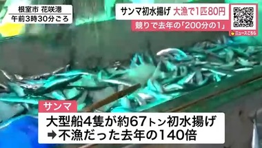 SnapCrab_NoName_2024-8-16_14-9-34_No-00