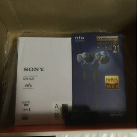 831320860dsdtnp20860