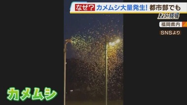 08011aa59c45fe03e4e8c09424ff387f0081a85f