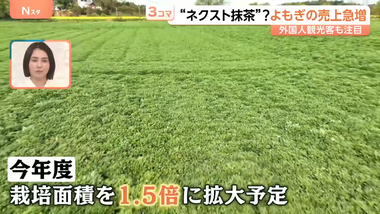 videoframe_148733