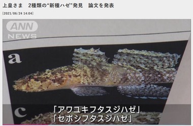 SnapCrab_NoName_2021-6-24_16-47-23_No-00