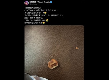 SnapCrab_NoName_2025-11-14_20-55-19_No-00