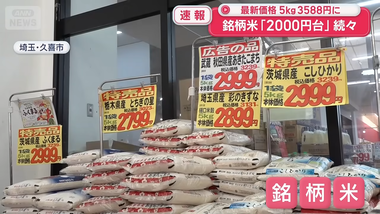 videoframe_33294