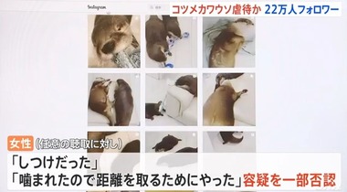 SnapCrab_NoName_2022-9-29_18-16-20_No-00