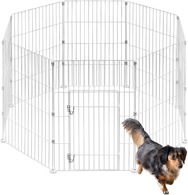 61GQeztQCwL._AC_SL1000_