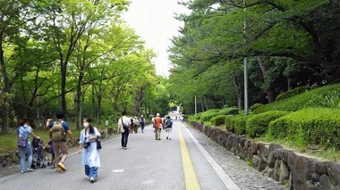 7f6a07a4030b21ef8264299ca58a25a4_t