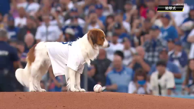 vlcsnap-2024-08-29-11h26m43s717