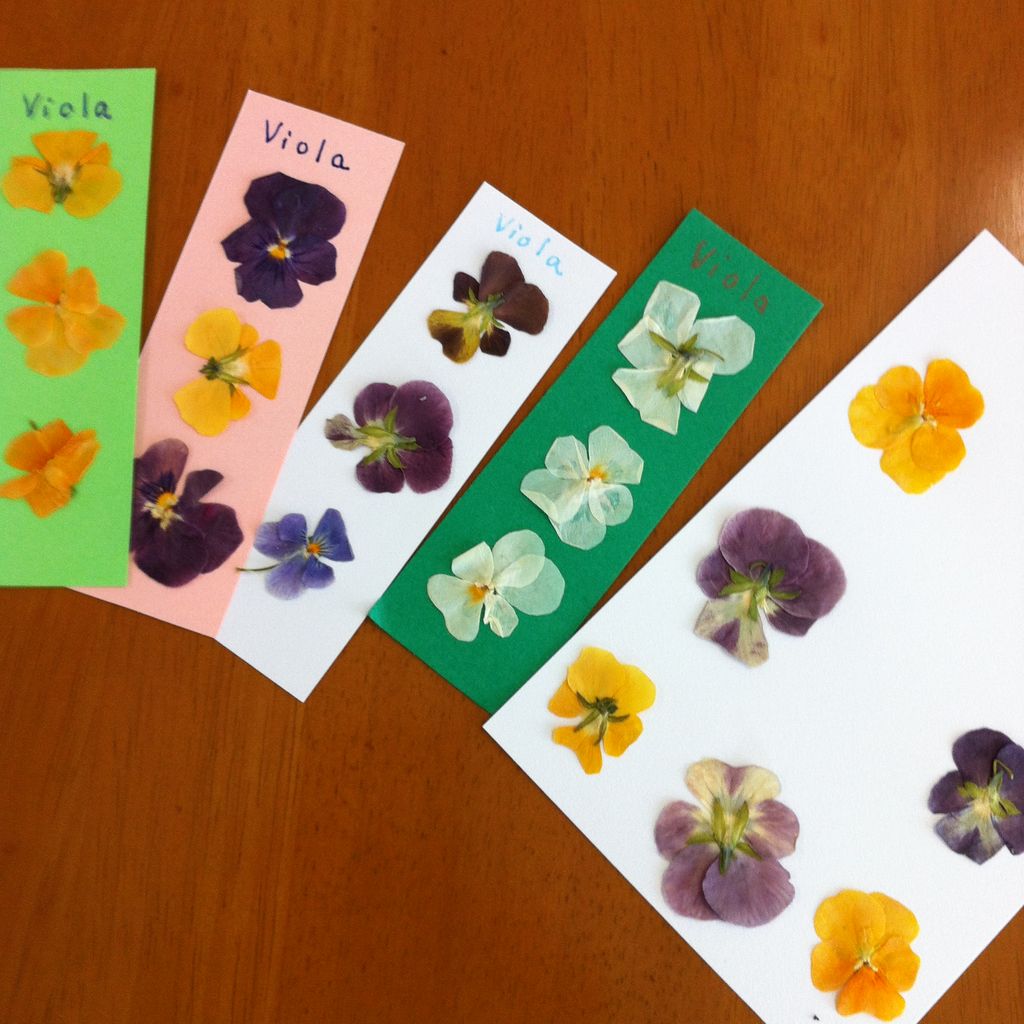 �̿� 2014-08-06 11 06 06