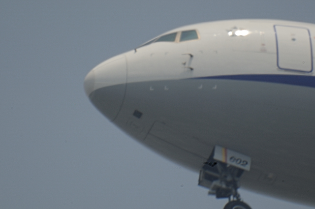 飛行機