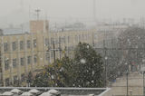 雪