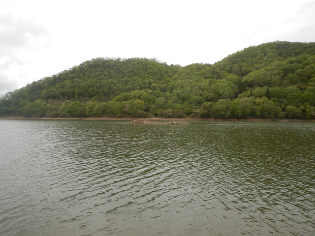 DSCN1201