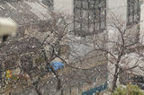 雪